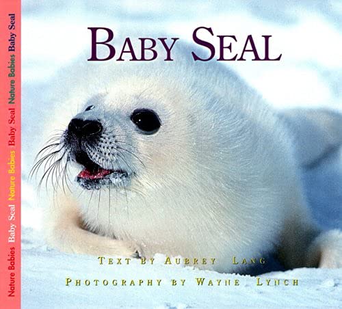 Beispielbild fr Baby Seal (Nature Babies) zum Verkauf von St Vincent de Paul of Lane County