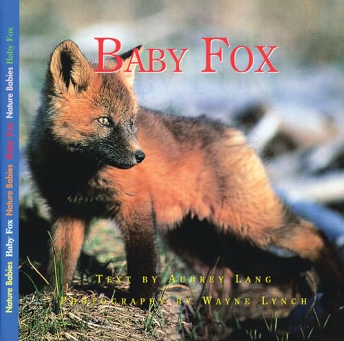Beispielbild fr Baby Fox zum Verkauf von Better World Books