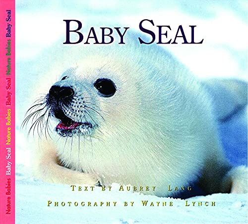 Stock image for Baby Seal (Nature Babies) for sale by Ergodebooks