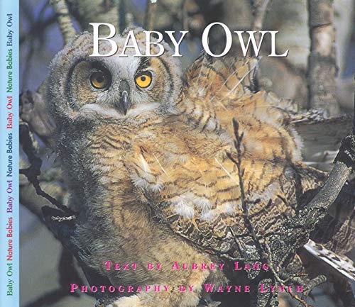 Beispielbild fr Baby Owl zum Verkauf von Better World Books