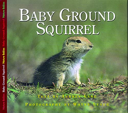 Beispielbild fr Baby Ground Squirrel zum Verkauf von Better World Books