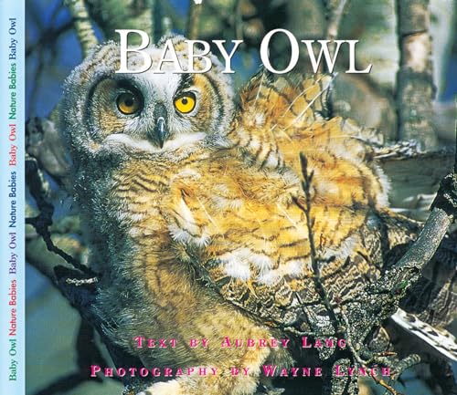 Imagen de archivo de Baby Owl (Nature Babies) a la venta por Jenson Books Inc