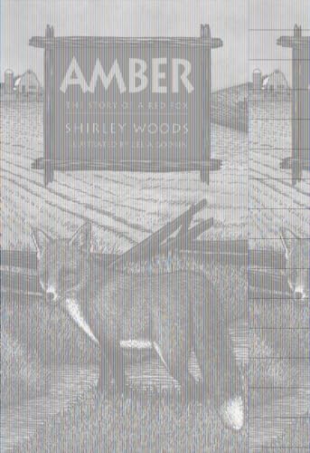 Beispielbild fr Amber: The Story of A Red Fox zum Verkauf von SecondSale