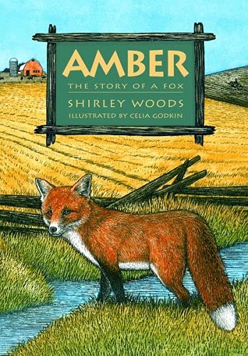 Imagen de archivo de Amber The Story of A Red Fox a la venta por SecondSale