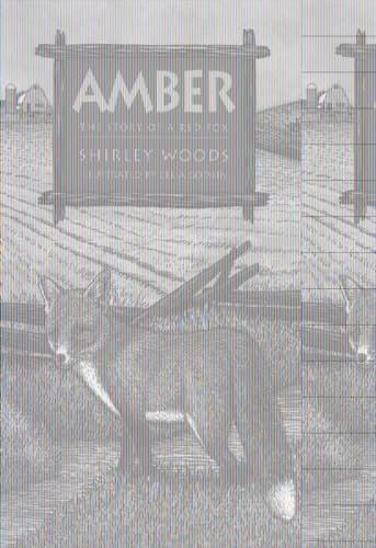 Stock image for Amber: The Story of A Red Fox for sale by SecondSale