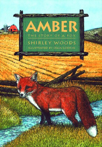 Stock image for Amber : The Story of a Red Fox for sale by Better World Books