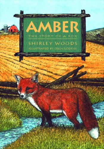 Amber: The Red Story of a Red Fox (9781550418118) by Woods, Shirley