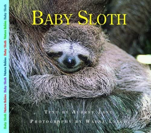 Beispielbild fr Baby Sloth zum Verkauf von Better World Books