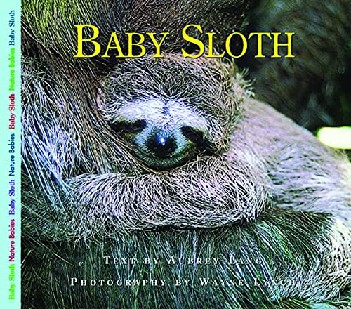 9781550418279: Baby Sloth (Nature Babies)