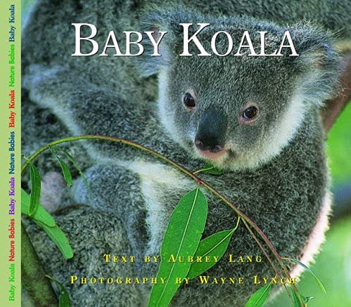Beispielbild fr Baby Koala zum Verkauf von Better World Books: West