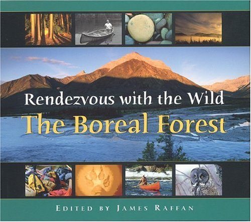 Imagen de archivo de Rendezvous with the Wild : The Boreal Forest a la venta por Better World Books