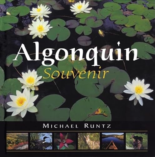 Imagen de archivo de Algonquin Souvenir a la venta por Alexander Books (ABAC/ILAB)