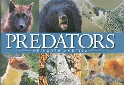 Beispielbild fr Predators of North America zum Verkauf von Better World Books