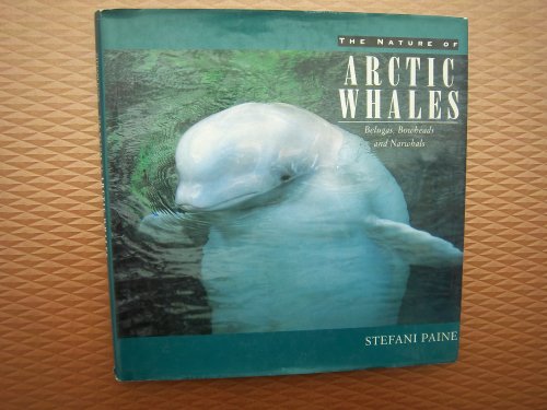 Stock image for Nature of Arctic Whales: Belugas, Bowheads and Narwhals (The Greystone nature series) for sale by medimops