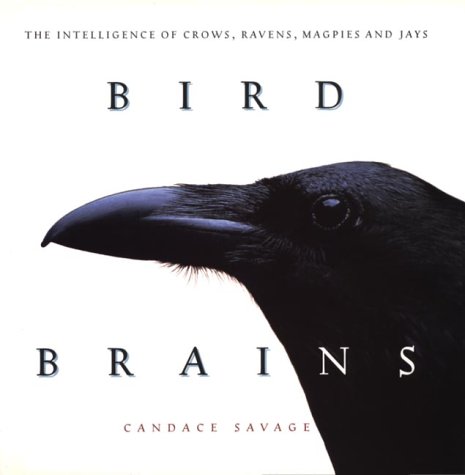 9781550545654: Bird Brains: Intelligence of Crows, Ravens, Magpies and Jays