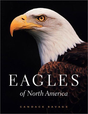 Beispielbild fr Eagles of North America zum Verkauf von ThriftBooks-Dallas