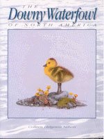 Beispielbild fr The downy waterfowl of North America zum Verkauf von Wonder Book