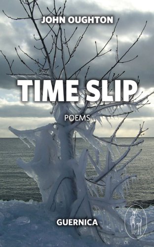 Stock image for Time Slip (Essential Poets (Paperback Ecco)) for sale by Hay-on-Wye Booksellers