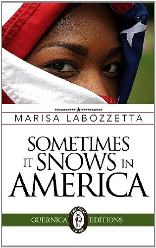Stock image for Sometimes It Snows in America (Essential Prose Series) for sale by Bibliomadness