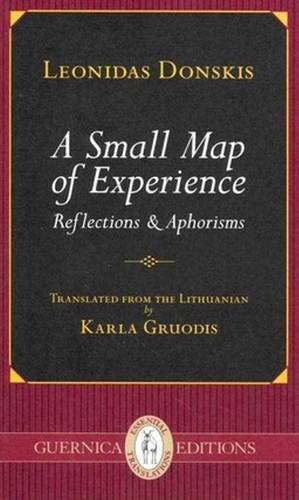 Stock image for SMALL MAP OF EXPERIENCE: Reflections & Aphorisms (Essential Translations) for sale by WorldofBooks