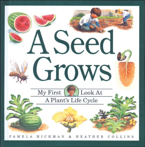 9781550742008: A Seed Grows: My First Look at a Plant's Life Cycle (Child's First Look at Nature - A Unique Flap-Book Series)