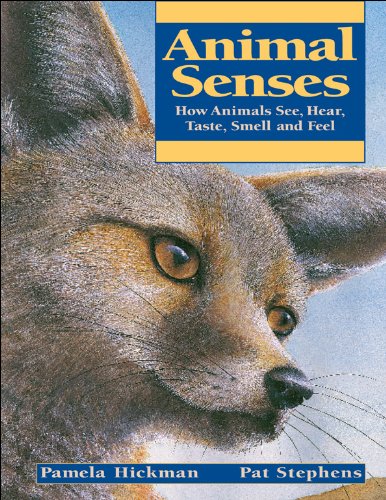 Stock image for Animal Senses: How Animals See, Hear, Taste, Smell and Feel (Animal Behavior) for sale by New Legacy Books