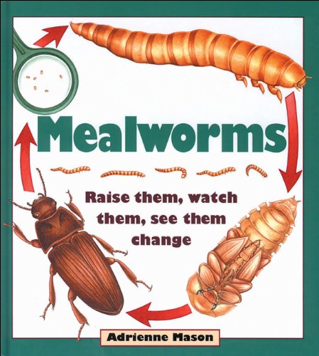 Beispielbild fr Mealworms : Raise Them, Watch Them, See Them Change zum Verkauf von Better World Books