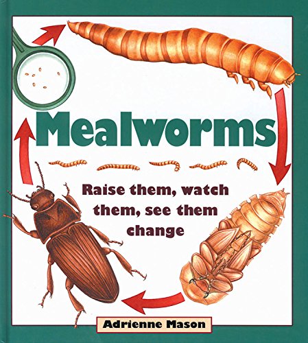 Beispielbild fr Mealworms : Raise Them, Watch Them, See Them Change zum Verkauf von Better World Books