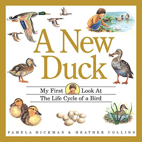 Beispielbild fr A New Duck zum Verkauf von Better World Books