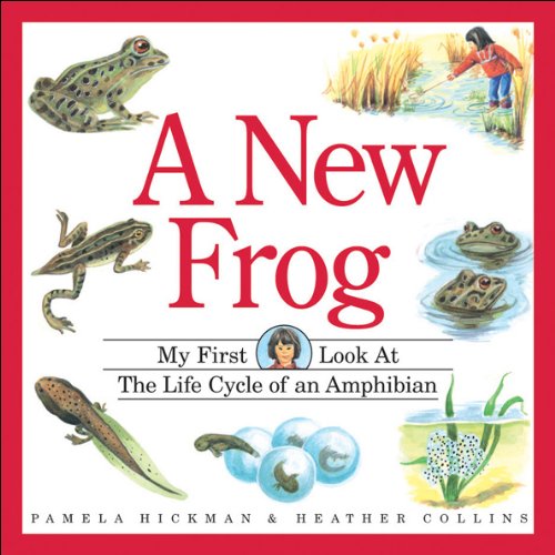 Beispielbild fr A New Frog : The Life Cycle of an Amphibian zum Verkauf von Better World Books