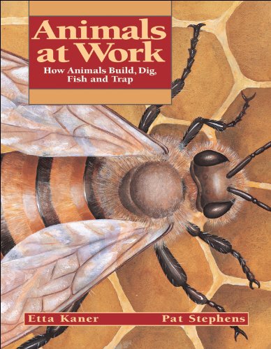 9781550746730: Animals at Work: How Animals Build, Dig, Fish and Trap