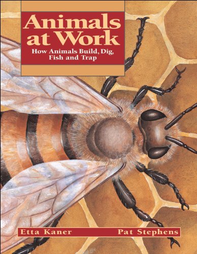 Stock image for Animals at Work : How Animals Build, Dig, Fish and Trap for sale by Better World Books