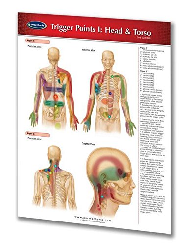 Imagen de archivo de Trigger Points I: Head & Torso (Life Sciences) a la venta por HPB-Red