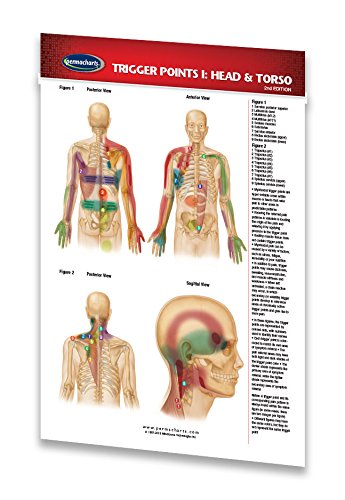 Stock image for Trigger Points I: Head & Torso - Pocket Chart - Reflexology Quick Reference Guide by Permacharts for sale by Irish Booksellers
