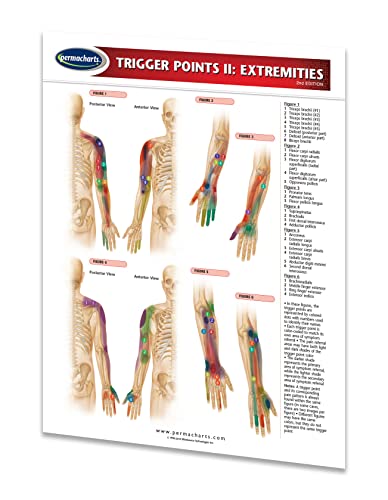 Stock image for Trigger Points II: Extremities for sale by HPB Inc.