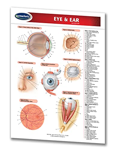 Eye & Ear Chart - Medical - Quick Reference Guide by Permacharts (9781550803907) by Permacharts