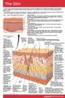 The Skin Pockets Perma Charts (9781550803938) by Papertech