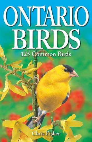 Beispielbild fr Ontario Birds: 125 Common Birds zum Verkauf von WorldofBooks