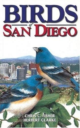 Stock image for Birds of San Diego for sale by Sapsucker Books