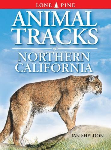 9781551051031: Animal Tracks of Northern California