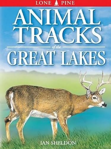 Beispielbild fr Animal Tracks of the Great Lakes zum Verkauf von Better World Books