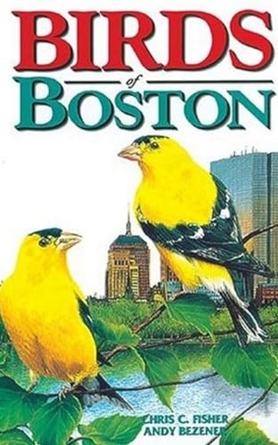 Beispielbild fr Birds of Boston zum Verkauf von Better World Books