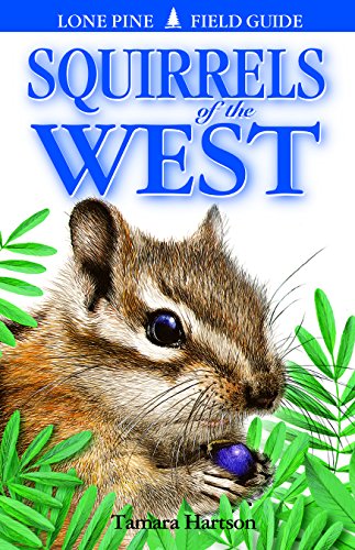 9781551052151: Squirrels of the West