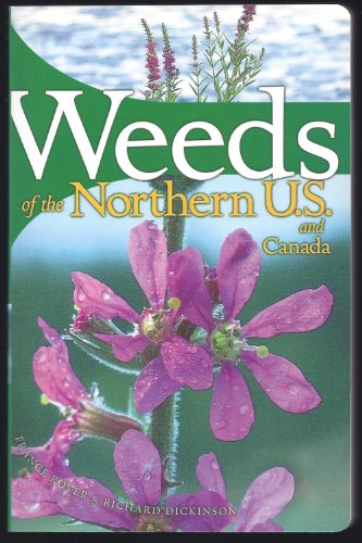 Beispielbild fr Weeds of the Northern U.S. and Canada: A Guide for Identification zum Verkauf von New Legacy Books