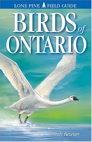 Beispielbild fr Birds of Ontario zum Verkauf von ThriftBooks-Atlanta