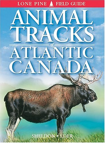 Stock image for Animal Tracks of Atlantic Canada for sale by Cottage Street Books