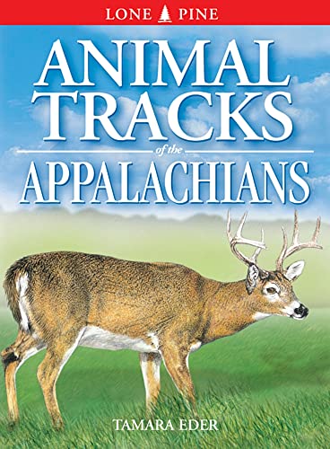 9781551052564: Animal Tracks of the Appalachians