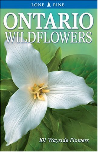 9781551052854: Ontario Wildflowers