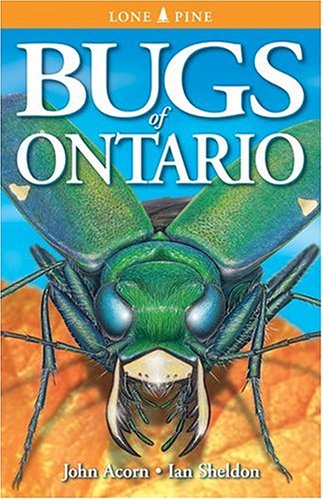 Beispielbild fr Bugs of Ontario zum Verkauf von Better World Books