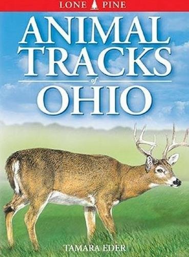 Stock image for Animal Tracks of Ohio for sale by Better World Books